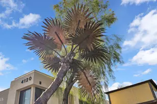 4120 N 78th St, Scottsdale, AZ 85251 - Photo 23