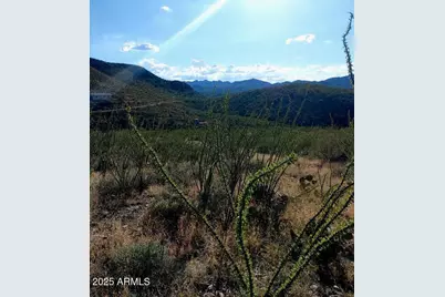 16231 E Hillton Ranch Road #-, Vail, AZ 85641 - Photo 5