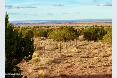 480 County Road N6400 -- #-, Saint Johns, AZ 85936 - Photo 11