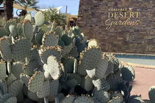 5830 E Restin Rd, Carefree, AZ 85377 - Photo 71