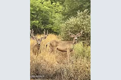 5830 E Restin Road, Carefree, AZ 85377 - Photo 61