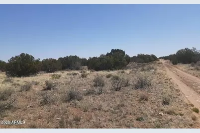 Sw 10 Acre 17Xx Buffington Hill Road #-, Heber, AZ 85928 - Photo 7