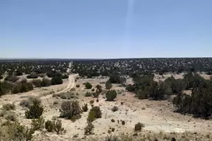 SW 10 Acre 17Xx Buffington Hill Rd, Heber, AZ 85928 - Photo 1