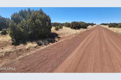 57 County Rd 8070 -- #-, Concho, AZ 85924 - Photo 5