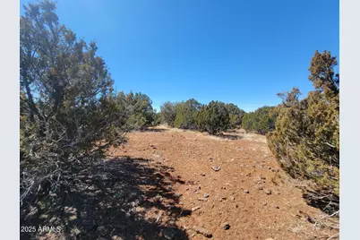 57 County Rd 8070 -- #-, Concho, AZ 85924 - Photo 11