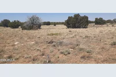 Se 10 Acre 17Xx Buffington Hill Road #-, Heber, AZ 85928 - Photo 13