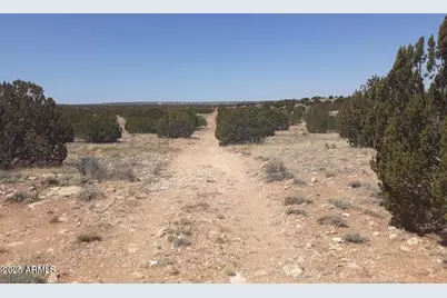 Se 10 Acre 17Xx Buffington Hill Road #-, Heber, AZ 85928 - Photo 15