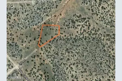 32018 W Calle Ines Parkway #-, Seligman, AZ 86337 - Photo 5