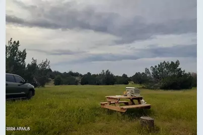 32018 W Calle Ines Parkway #-, Seligman, AZ 86337 - Photo 3