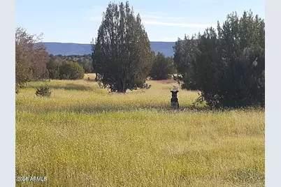 32018 W Calle Ines Parkway #-, Seligman, AZ 86337 - Photo 1