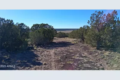 26 County Road N8171 -- #-, Concho, AZ 85924 - Photo 23