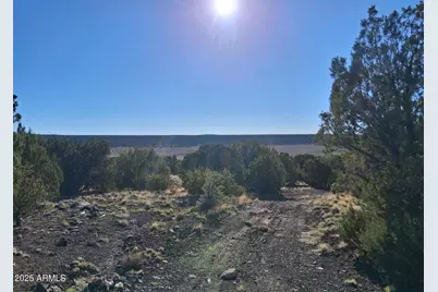 26 County Road N8171 -- #-, Concho, AZ 85924 - Photo 27