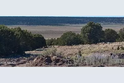 26 County Road N8171 -- #-, Concho, AZ 85924 - Photo 21