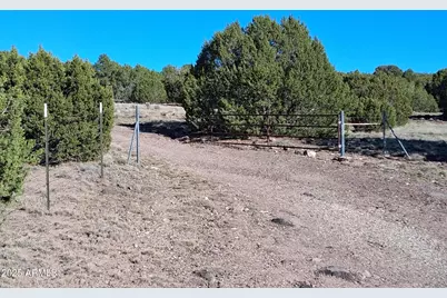 28 County Road N8171 -- #-, Concho, AZ 85924 - Photo 13