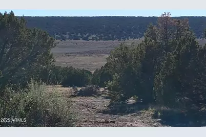 28 County Road N8171 -- #-, Concho, AZ 85924 - Photo 7