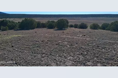 28 County Road N8171 -- #-, Concho, AZ 85924 - Photo 9