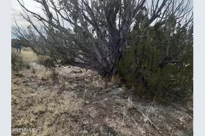 602 Denny 5 Road #-, Seligman, AZ 86337 - Photo 17