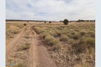 602 Denny 5 Road #-, Seligman, AZ 86337 - Photo 21
