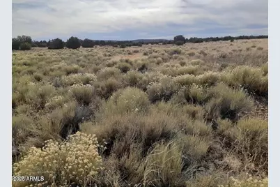 602 Denny 5 Road #-, Seligman, AZ 86337 - Photo 15