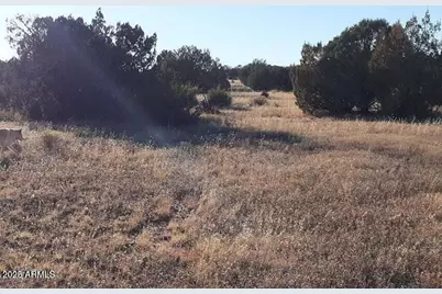 602 Denny 5 Road #-, Seligman, AZ 86337 - Photo 5