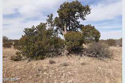 602 Denny 5 Road #-, Seligman, AZ 86337 - Photo 11