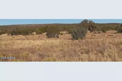 602 Denny 5 Road #-, Seligman, AZ 86337 - Photo 3