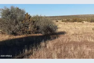 602 Denny 5 Road #-, Seligman, AZ 86337 - Photo 1