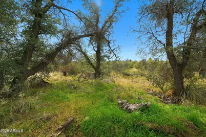 1243 E Aldwinkle Place #--, Oracle, AZ 85623 - Photo 25