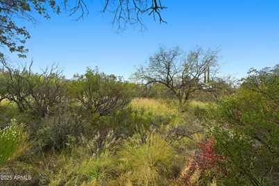 1243 E Aldwinkle Place #--, Oracle, AZ 85623 - Photo 29