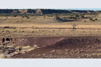 Lot #35 Bonito Valley Ranch --, Saint Johns, AZ 85936 - Photo 5