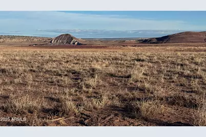 Lot #35 Bonito Valley Ranch --, Saint Johns, AZ 85936 - Photo 3