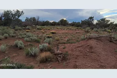201 County Rd N5380 -- #-, Concho, AZ 85924 - Photo 11