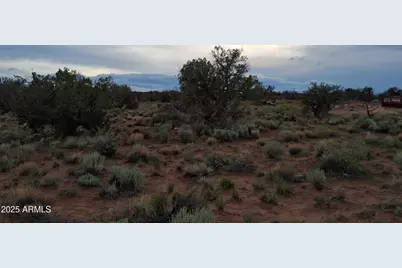 203 County Rd N5380 -- #-, Concho, AZ 85924 - Photo 15