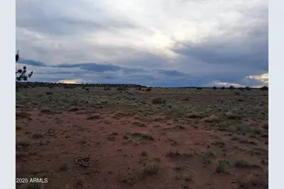 203 County Rd N5380 -- #-, Concho, AZ 85924 - Photo 19