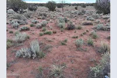 203 County Rd N5380 -- #-, Concho, AZ 85924 - Photo 9
