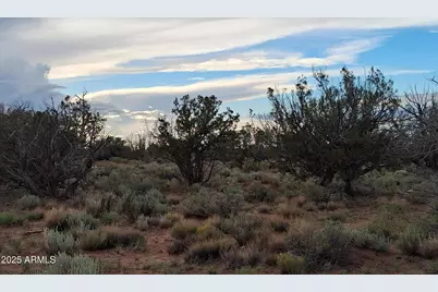 203 County Rd N5380 -- #-, Concho, AZ 85924 - Photo 17