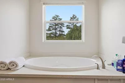 5428 Gray Wolf Drive, Lakeside, AZ 85929 - Photo 13