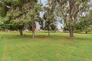 542 S Higley Rd, Mesa, AZ 85206 - Photo 45