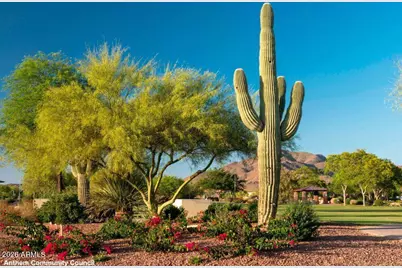 4808 W Cavalry Road, Phoenix, AZ 85087 - Photo 57