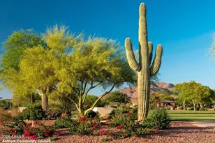 4808 W Cavalry Rd, Phoenix, AZ 85087 - Photo 45