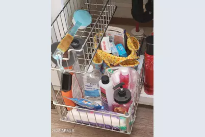 524 E Barrel Cactus Lane, Florence, AZ 85132 - Photo 63