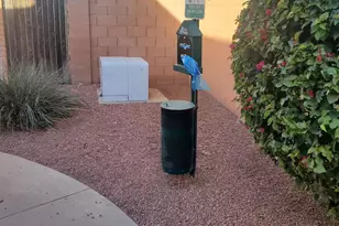 4429 E Hubbell St, Phoenix, AZ 85008 - Photo 31