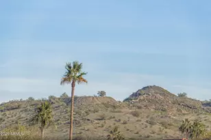 1347 E Redwood Ln, Phoenix, AZ 85048 - Photo 13