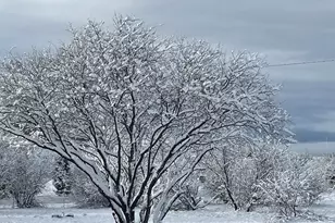 2955 S Sexton Ranch Rd, Cornville, AZ 86325 - Photo 49