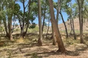 2955 S Sexton Ranch Rd, Cornville, AZ 86325 - Photo 55