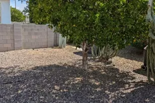 2511 N 56th St, Mesa, AZ 85215 - Photo 29