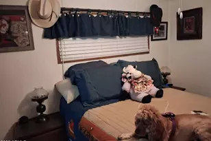 2511 N 56th St, Mesa, AZ 85215 - Photo 21