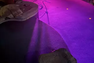 6259 N 89th Dr, Glendale, AZ 85305 - Photo 35