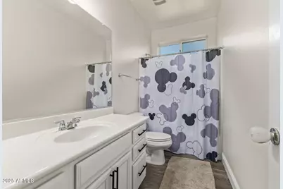 911 S Wayne Drive, Chandler, AZ 85225 - Photo 53