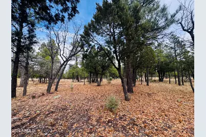 2793 Hummingbird Circle #159, Happy Jack, AZ 86024 - Photo 9